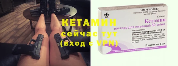 дживик Богородск