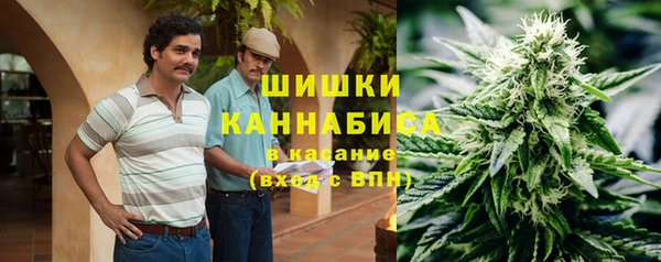 тгк Бронницы
