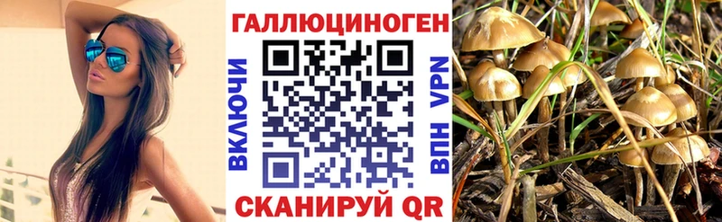Псилоцибиновые грибы MAGIC MUSHROOMS  Дагестанские Огни 